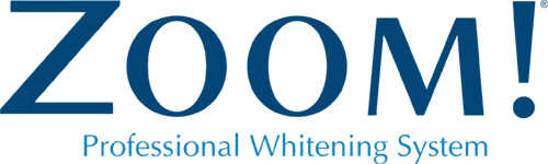 zoom logo 1